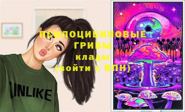 молекула духа Алзамай