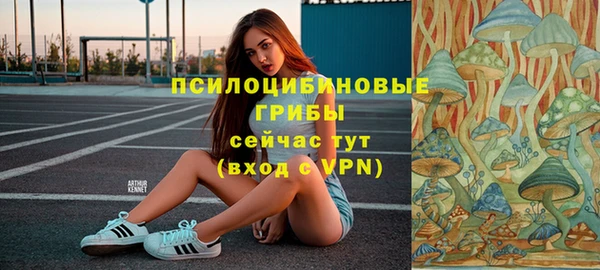 молекула духа Алзамай
