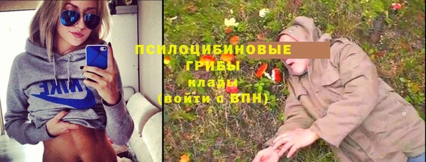 молекула духа Алзамай